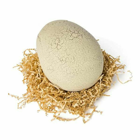 V5H6B062CFDA82B3BEAD8FBF01F0BA63085R6483164P5