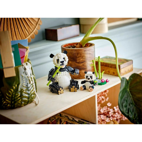 V5H912303FAA1E4A8741E52CDF688F6BAF9R5543543P8