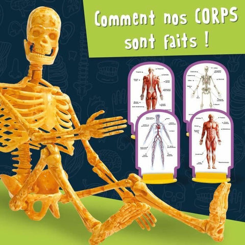 V5H40BA5568BBBBABD4CD97224EDC8A1B4DR5766848P3