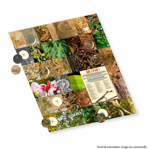 V5H335FEC38100EB80B0A9F66CD91B2FD17R6208248P4