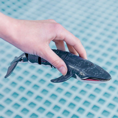 V7H8D82A3BBEE67563A6CAE1172773759C4R5423226P6